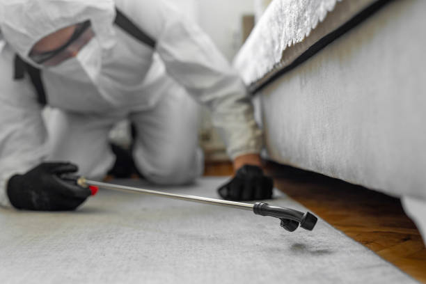Professional Termite Control technician working in Northfield, KY