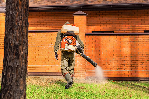 Trusted Termite Control service in Northfield, KY - Nex Pest Control